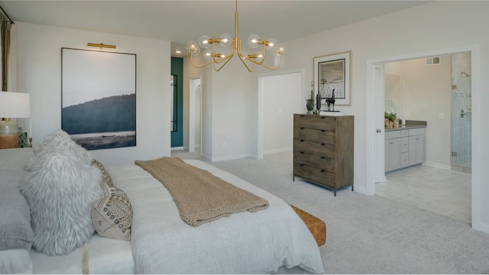 Harlow II owners suite