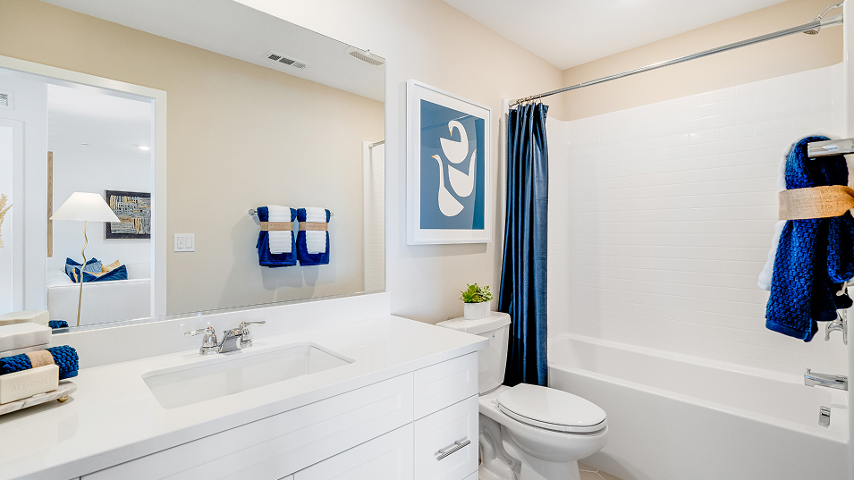 061325 Aviator Renaissance Res1 Bath2 F2