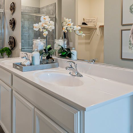Wayfarer Owner's Suite bathroom Vanity