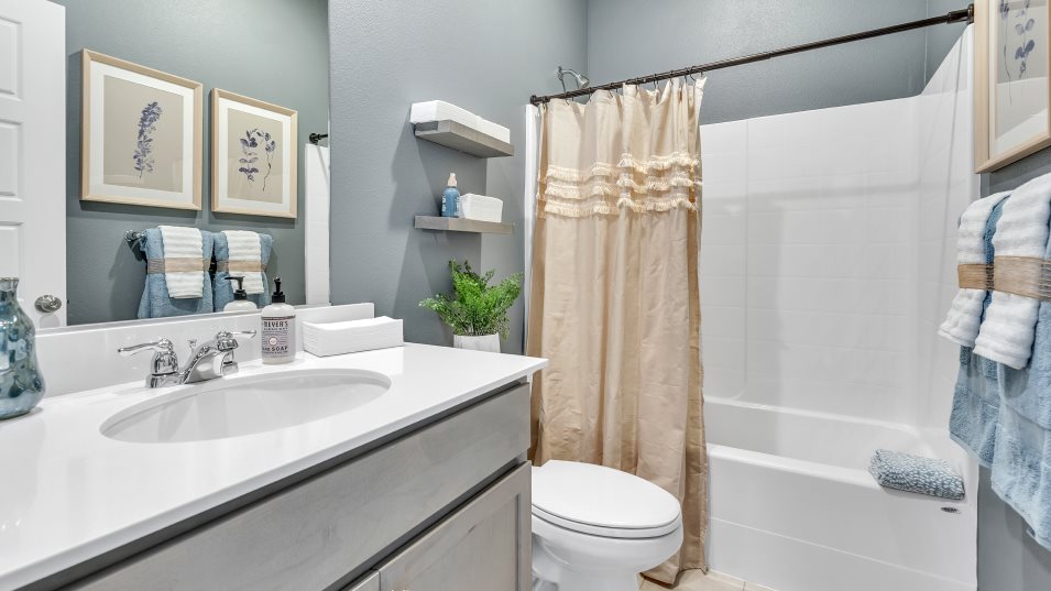 Hamilton Bathroom 2