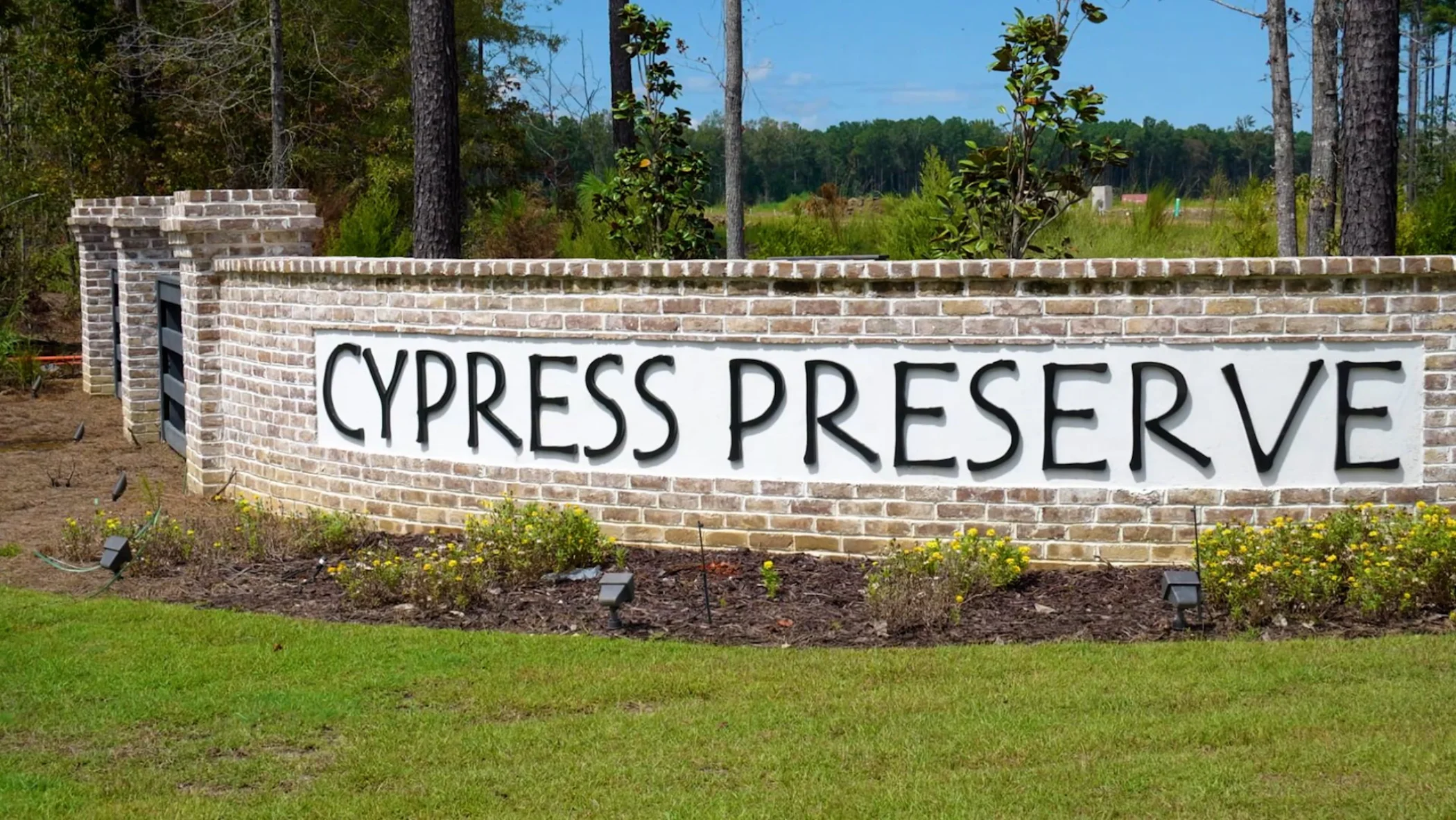 Cypress preserve video still