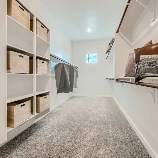 Evolution Owner's Suite