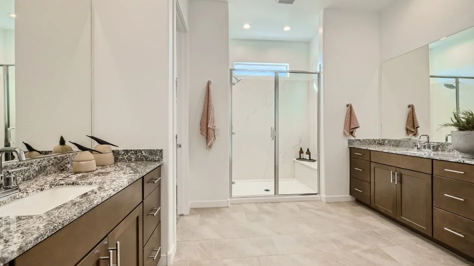 Evolution Owner's Suite