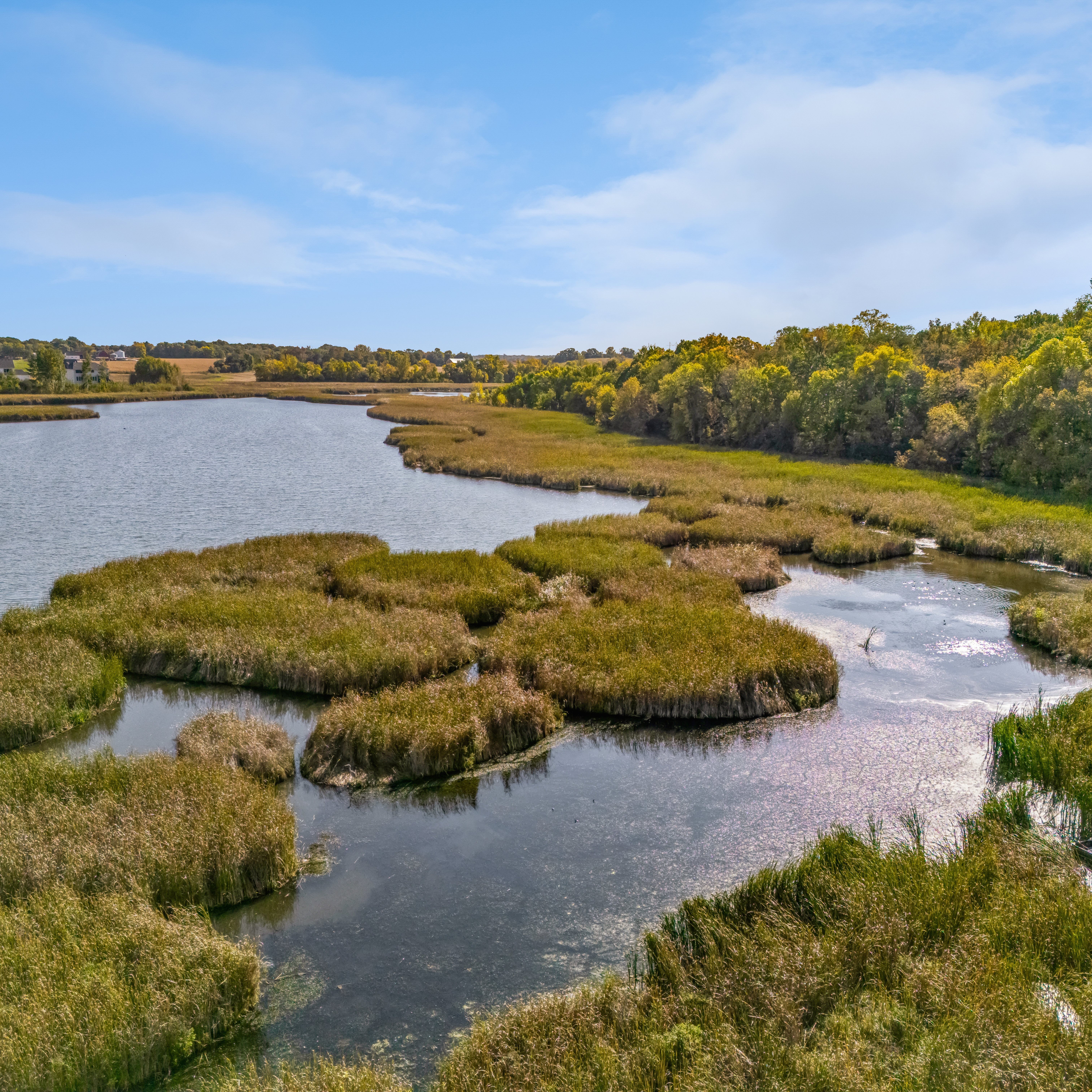 Serene Pond at Gonz Lake