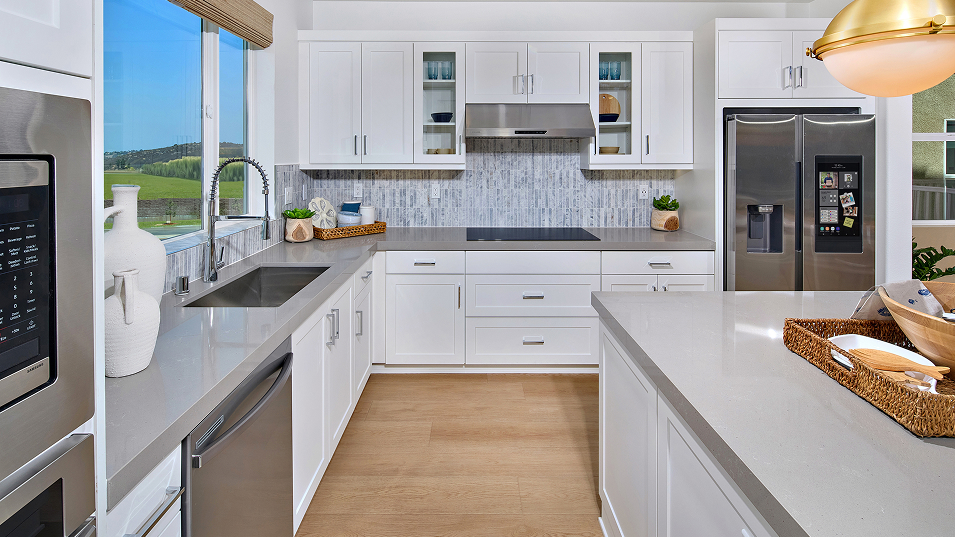 Apex The Hill District Res3 Kitchen 2of3 F2