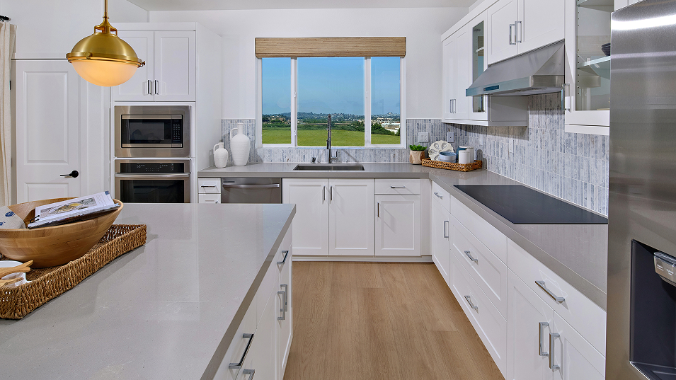 Apex The Hill District Res3 Kitchen 3of3 F2