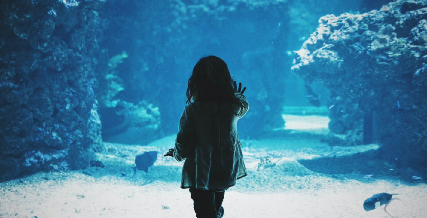 Monte Marine Laboratory and Aquarium 