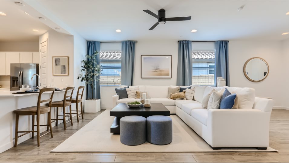 Barbaro Great Room