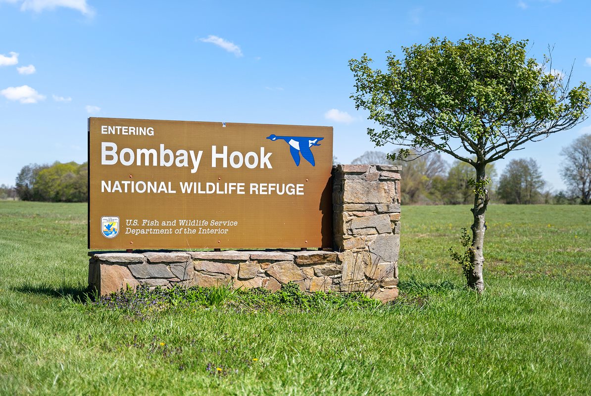 The Bombay Hook National Wildlife Refuge