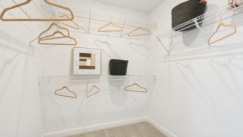 Buckingham Owners Walk in Closet