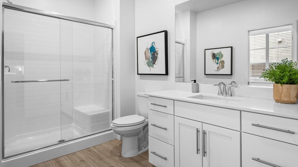 Diana Next Gen Suite