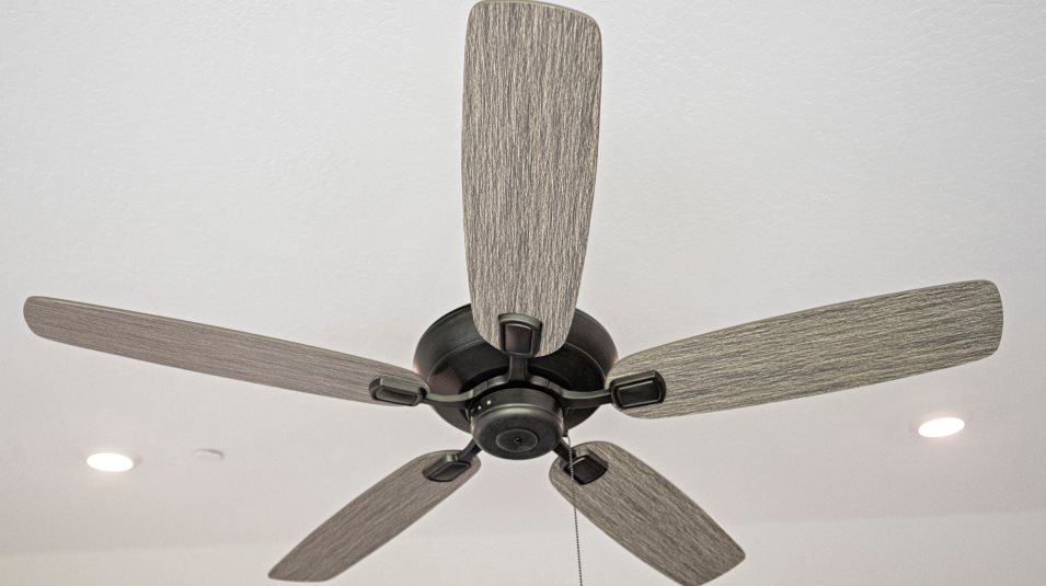 Ceiling fan