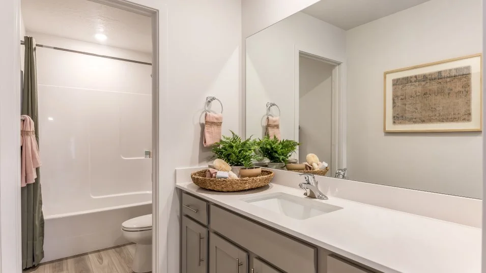 Mesa Bathroom 2