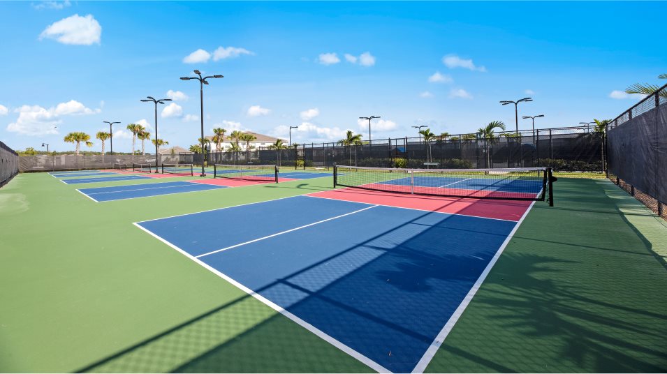 Pickleball Court