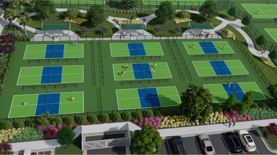 Pickleball Court