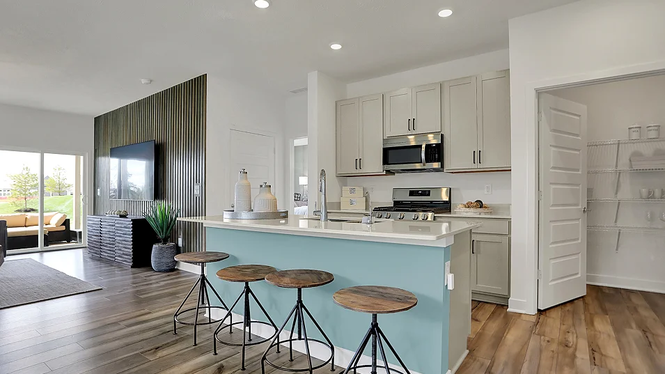 4234 Chapman Kitchen 3of5 F1