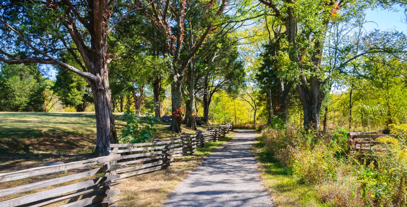 Trail