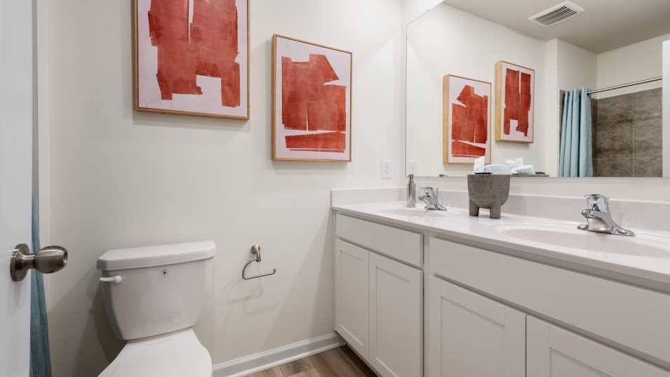 Charleston Bathroom 2