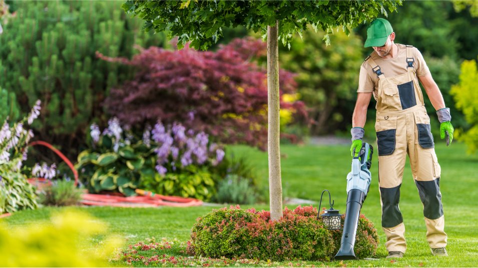 Fully Maintained Lawns