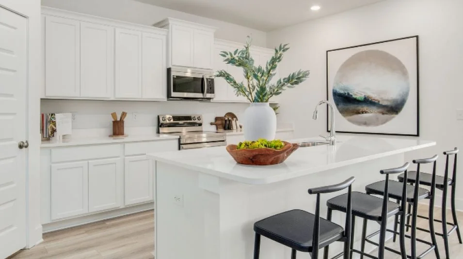Stainless steel appliances