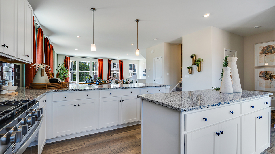 1211 Ellington Kitchen 3of8 F2 072825