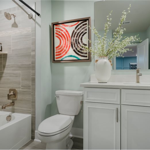 Danbury Lower Level Bathroom