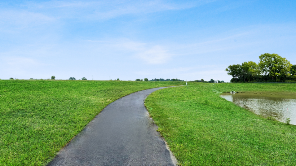 Trail