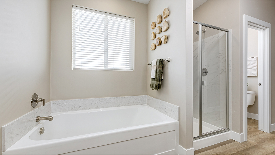 2350 Plan2350 Owners Bath 4of4 F1