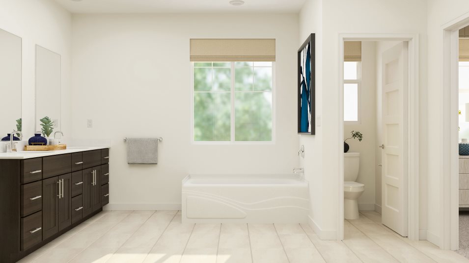 Roslyn owners suite bathroom tub