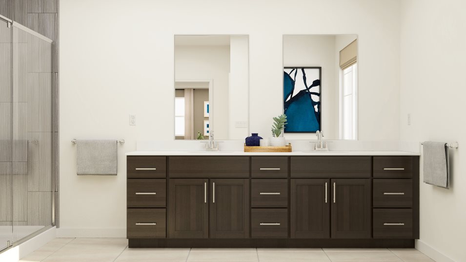 Roslyn owners suite bathroom sinks