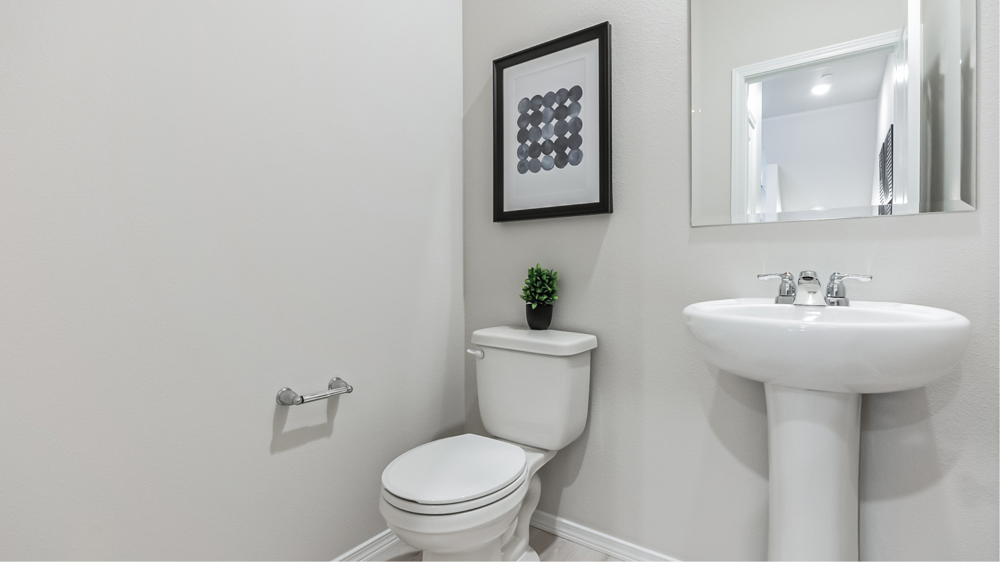 1611 Fern Powder Bath F2