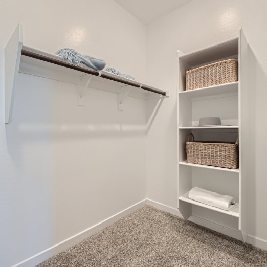 Sage owners walk in closet