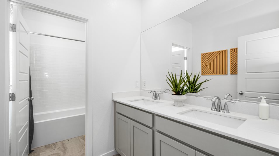 Diana Bathroom 2
