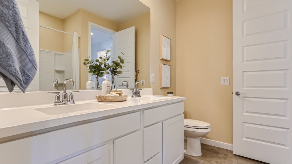 Barbaro Bathroom 2