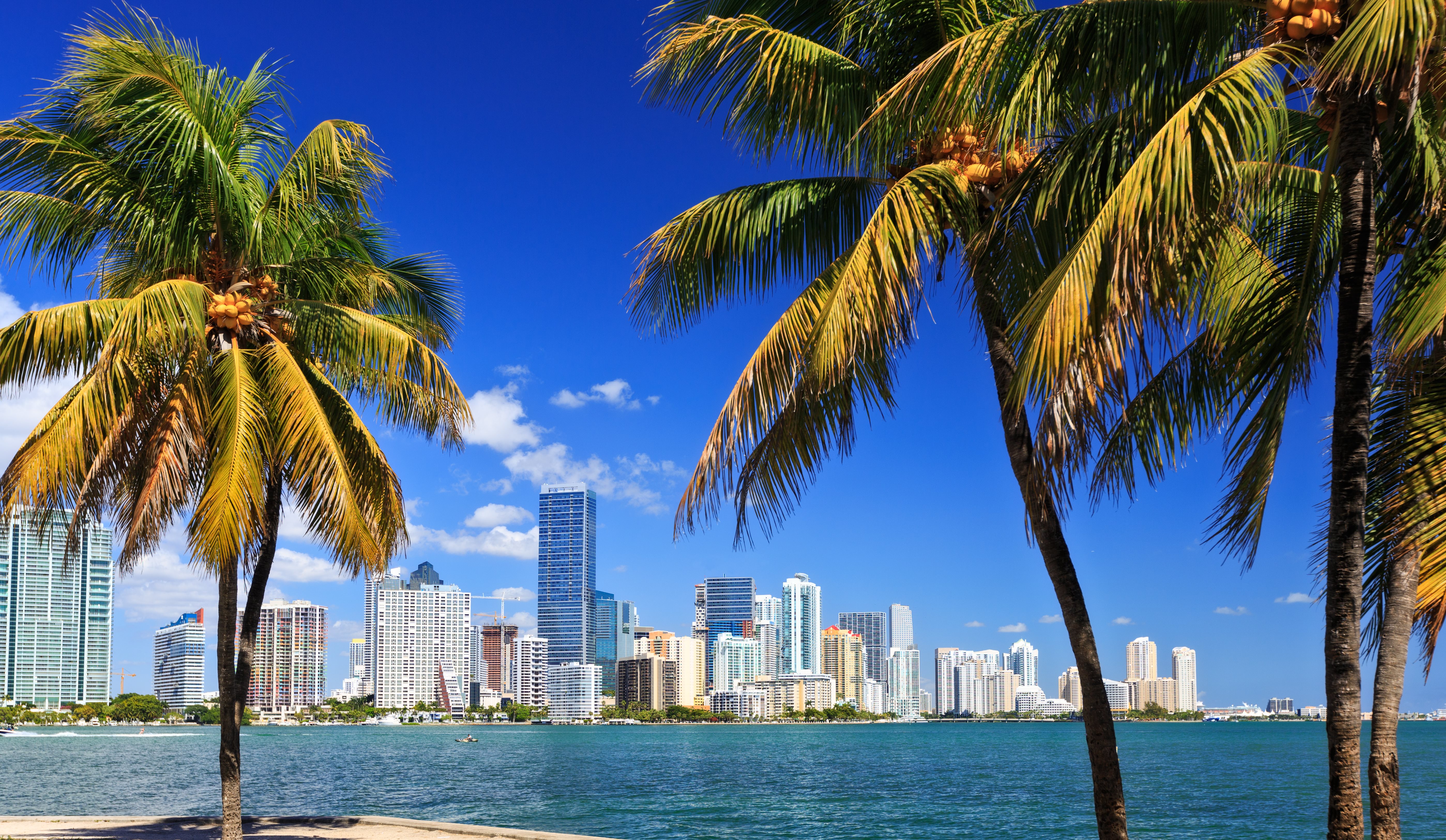 Downtown Miami Skyline