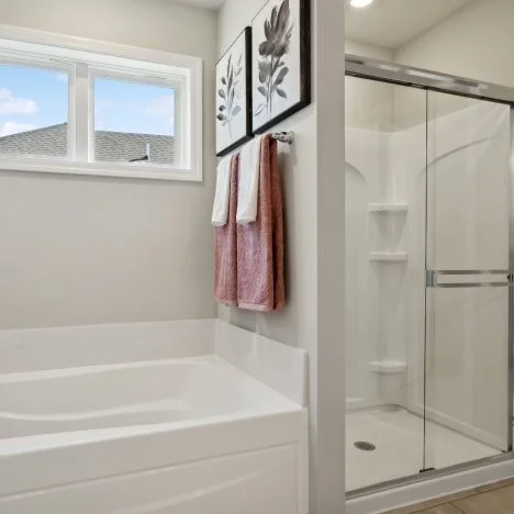 Lewis Owners Bathroom