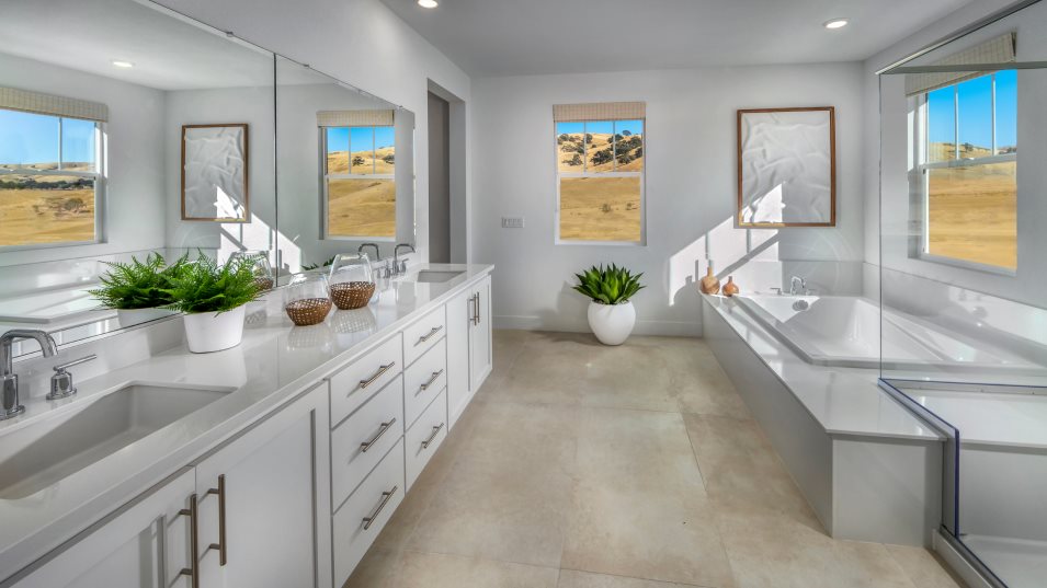 Owner's Bathroom