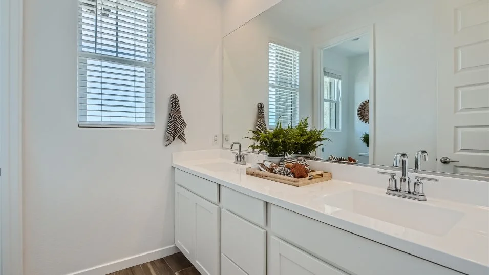 Carlsbad Bathroom 2