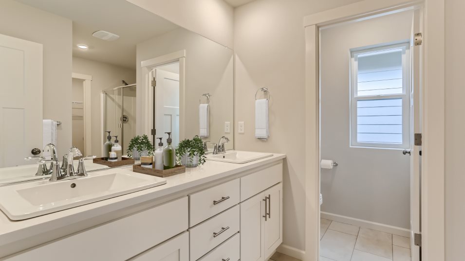 Owner's Bathroom