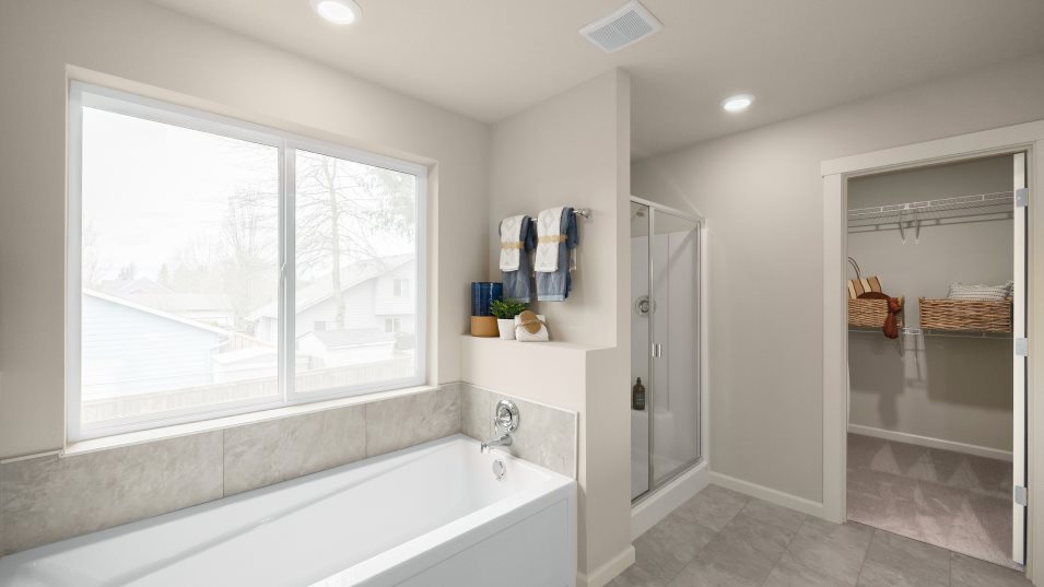 Owner's suite bathroom tub, shower, and walk-in closet entrance
