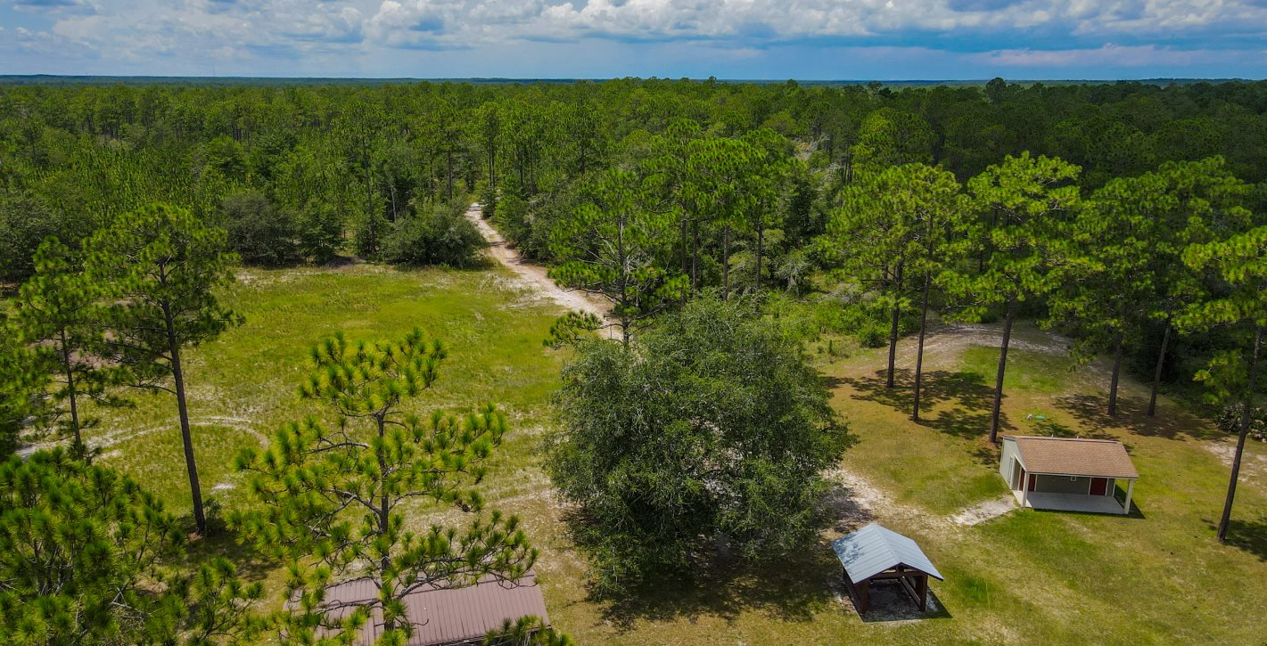Jennings State Forest 