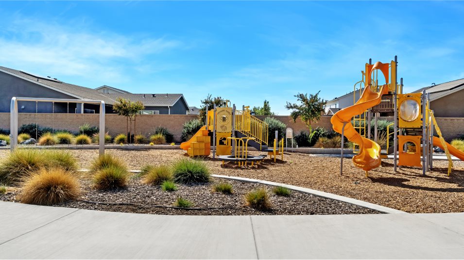 Playground amenity