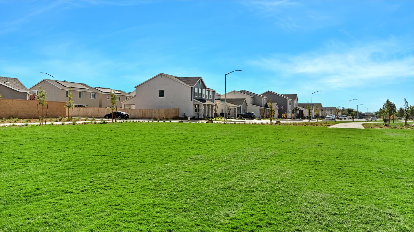 Park amenity