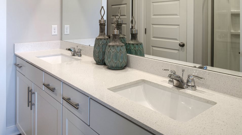 NSH Owners Bathroom Dual Sinks