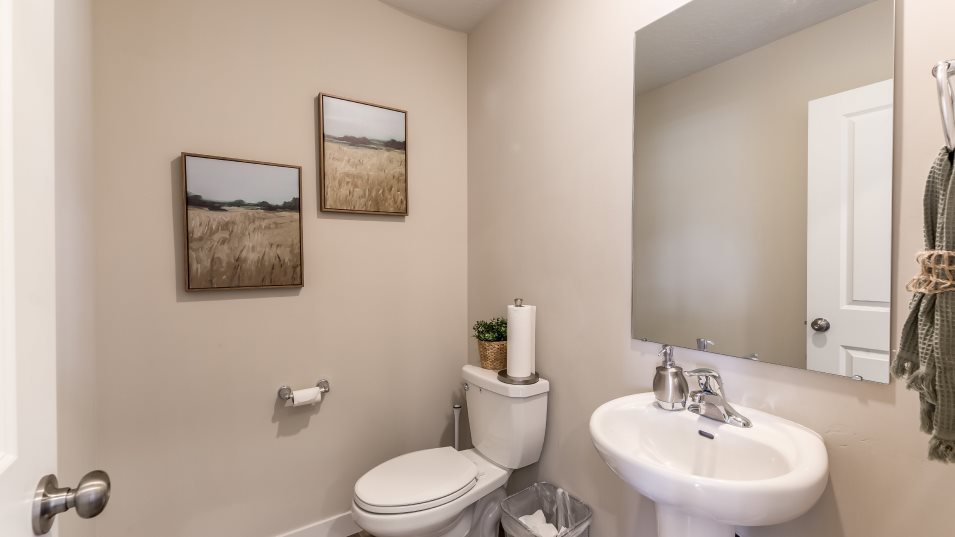 Wasatch Powder Room