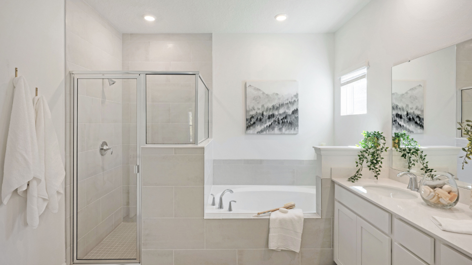 2172 Tivoli II Owners Bath 4of6 7 9 25