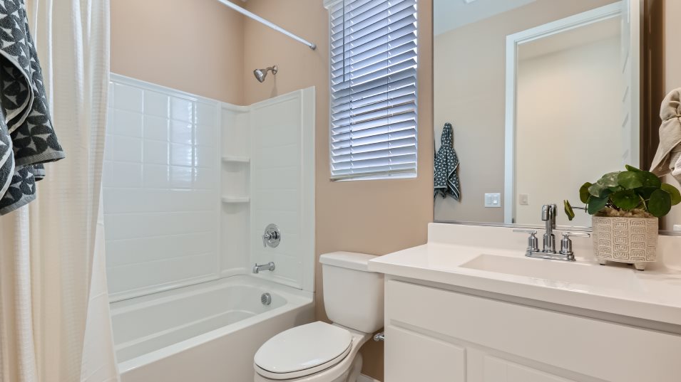 Ironwood Bathroom 2