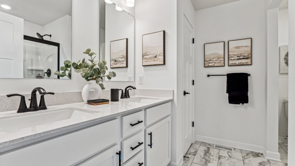 Burnham Owners Bathroom