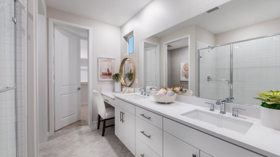 Owners bath interior