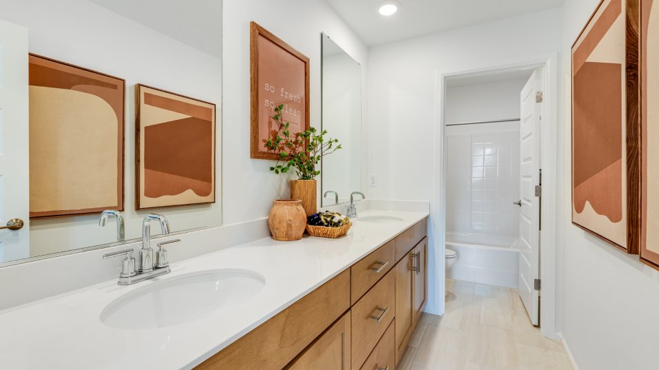 Sequoia II Bathroom 2